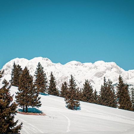 Chalet Neza Velika Planina Stahovica Luaran gambar