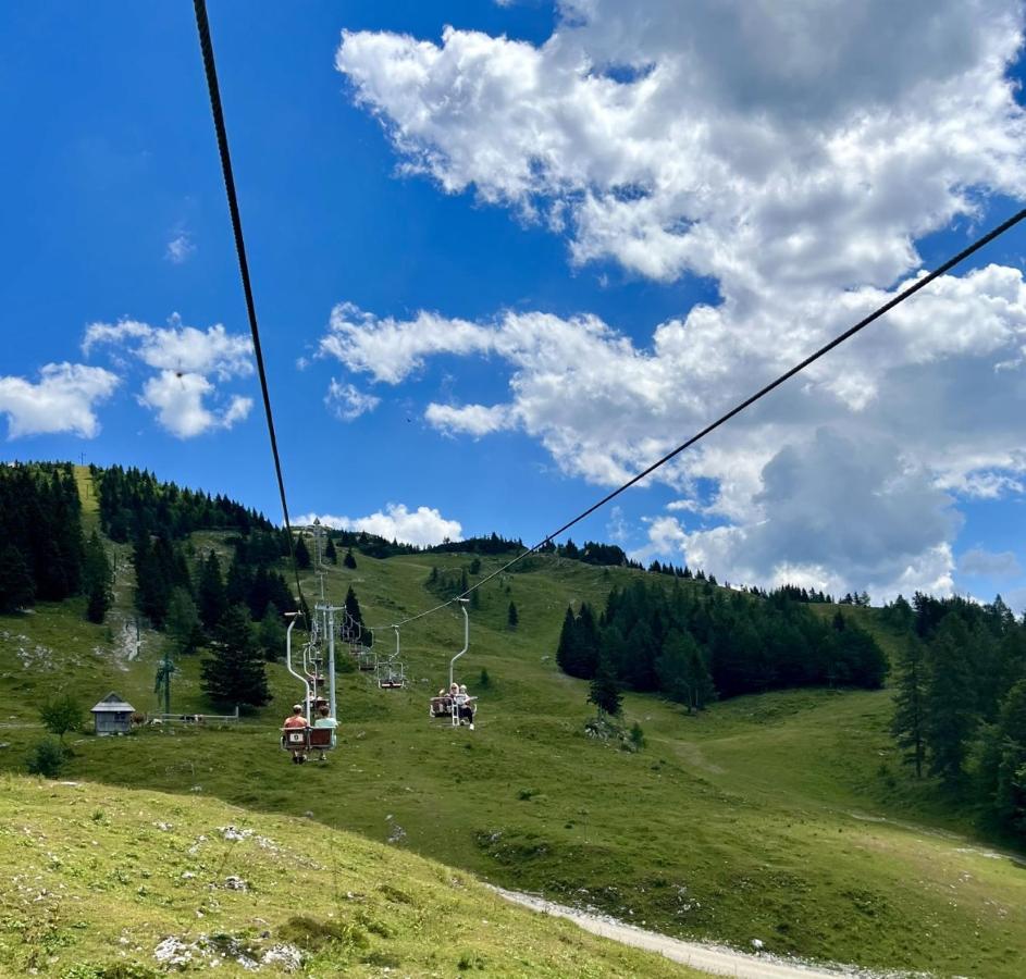 Chalet Neza Velika Planina Stahovica Luaran gambar