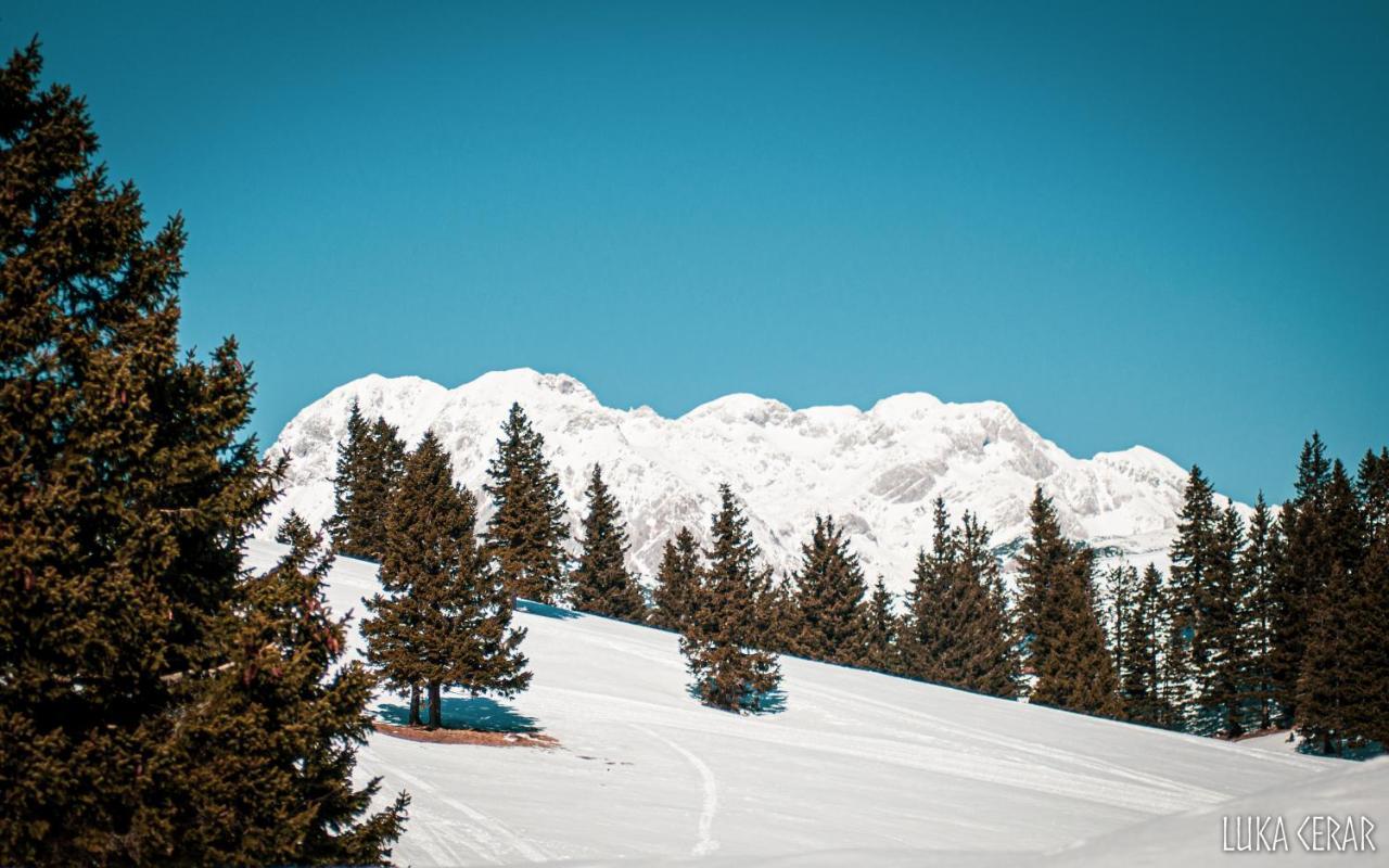 Chalet Neza Velika Planina Stahovica Luaran gambar